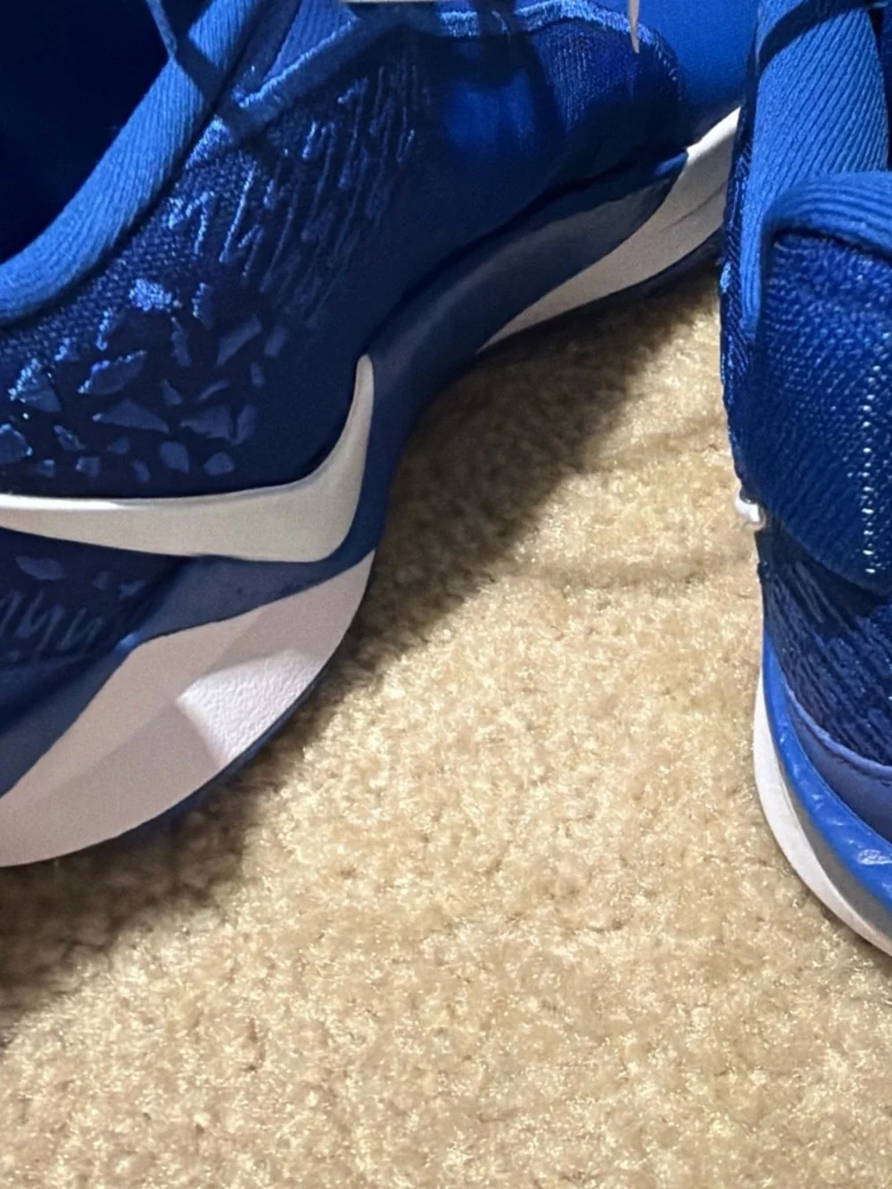 Nike Men's Royal Blue Athletic Sneakers